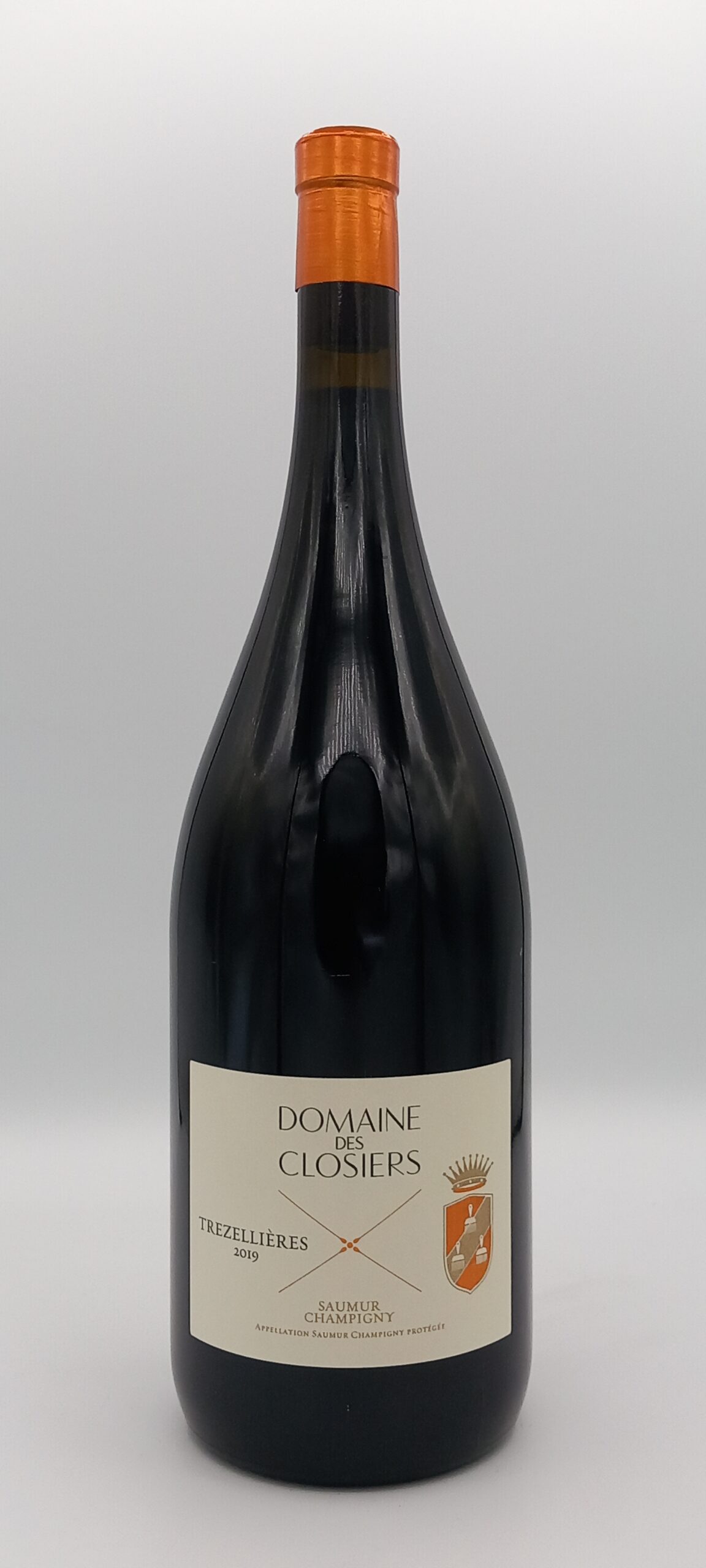 MAGNUM SAUMUR CHAMPIGNY TREZELLIERES 2019 ROUGE DOMAINE DES CLOSIERS