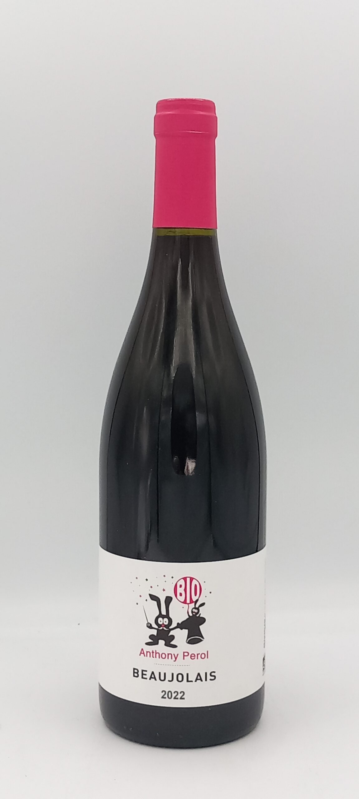 BOURGOGNE BEAUJOLAIS 2022 BIO DOMAINE PEROL